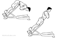 back-extensions.gif back-extensions.gif