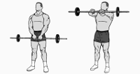 barbell-front-raise.gif