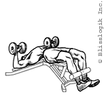 decline-bench-press.gif