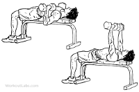 dumbbell-bench-press.gif