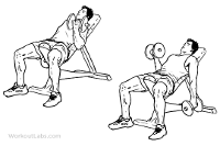 incline-dumbbell-curl.gif incline-dumbbell-curl.gif