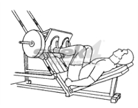 inclined-leg-press.gif
