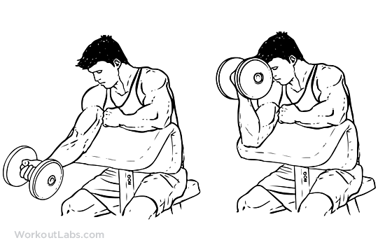 one-arm-dumbbell-preacher-curl.png
