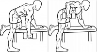 one-arm-dumbbell-row.gif one-arm-dumbbell-row.gif