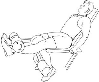 seated-leg-extension.gif