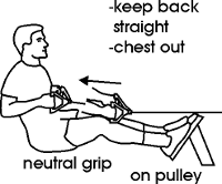 seated-low-row.gif seated-low-row.gif