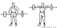 shoulder-barbell.gif