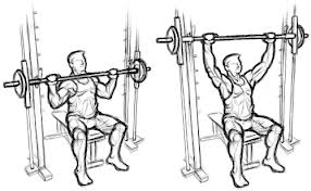 smith-machine-overhead-press.gif