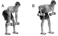 standing-dumbbell-side-row.gif standing-dumbbell-side-row.gif