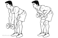 two-armed-bent-over-row.gif two-armed-bent-over-row.gif